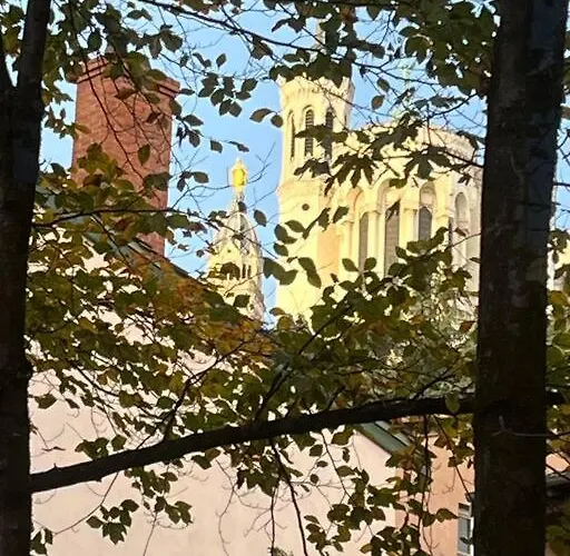 Le Cocon De Saint-jean *